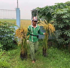 世界に届け、東京8！安心安全のバクテリア植物活性剤